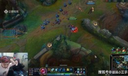 王者松鹤爆料了吗最新消息,神秘消息即将揭晓，敬请期待！